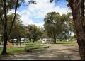 Mt Barker Caravan Park and Cabin Accomodation - MyDriveHoliday